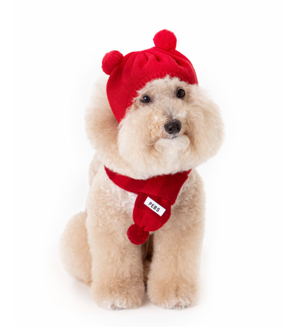 PUPPY POM-POM MUFFLER