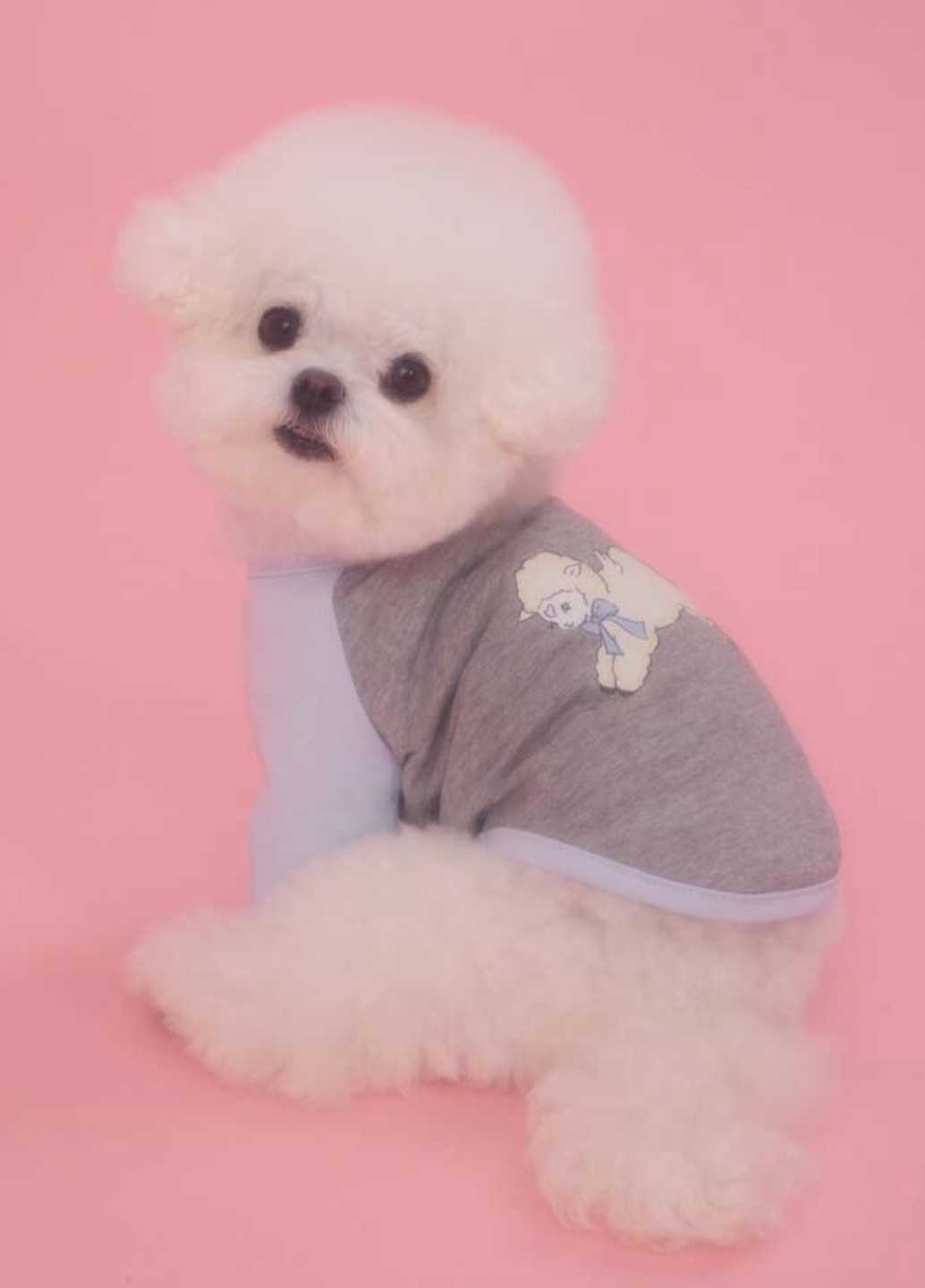 PEBBLES x MABLING BELL RAGLAN TEE