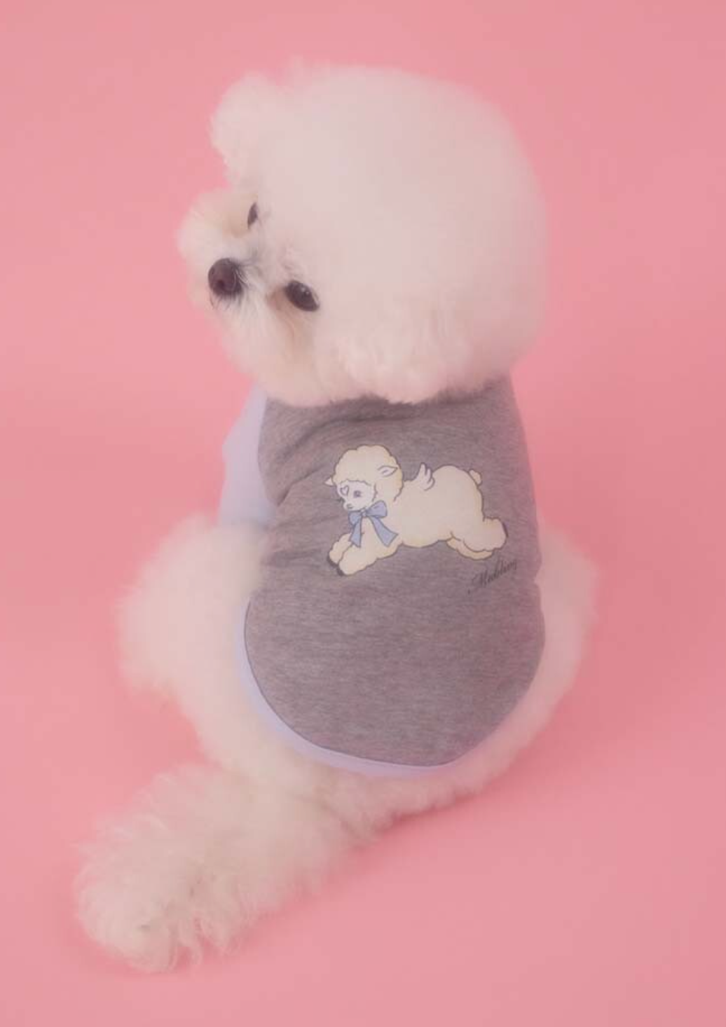 PEBBLES x MABLING BELL RAGLAN TEE