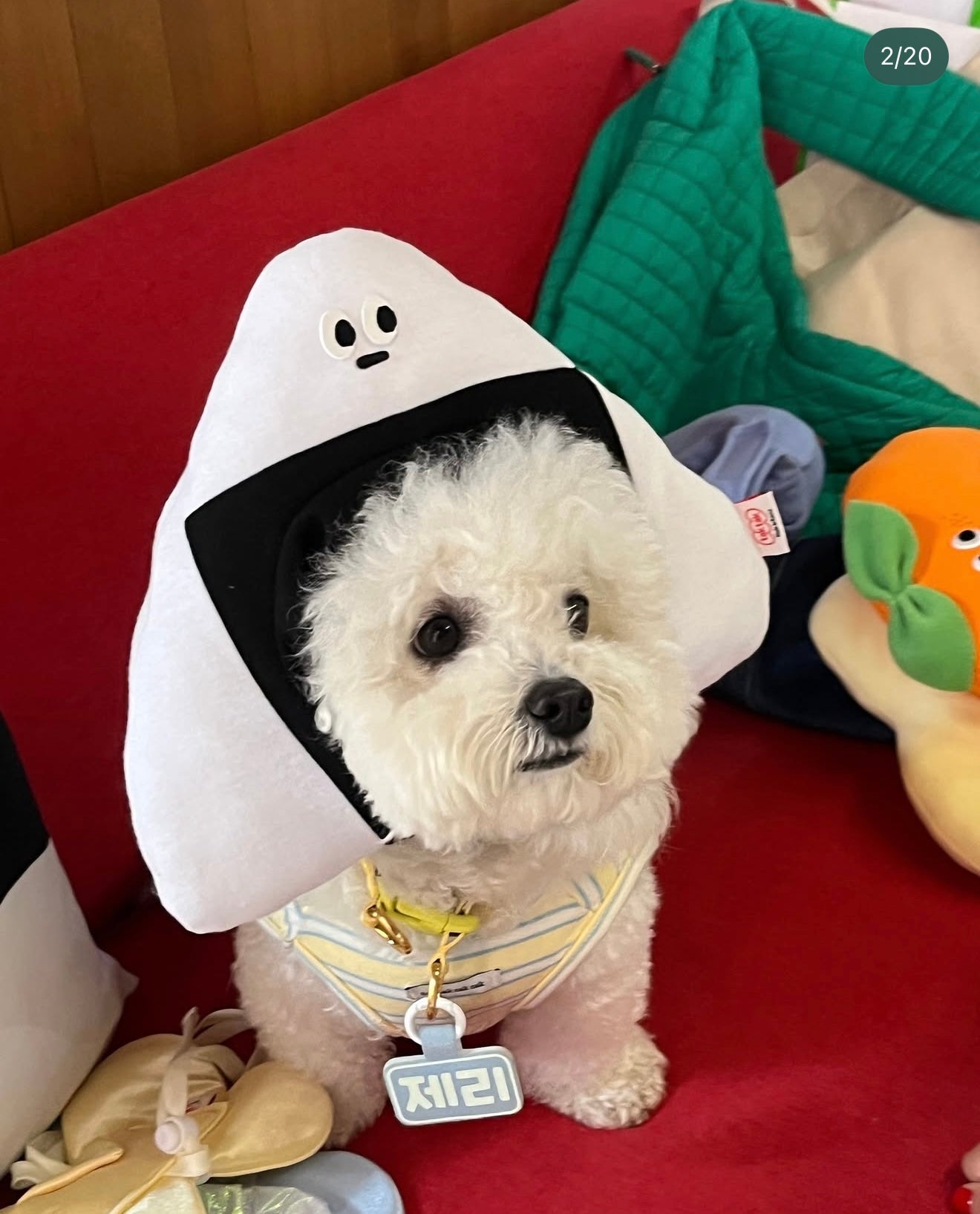 PICNIC SERIES HAT- RICE BALL