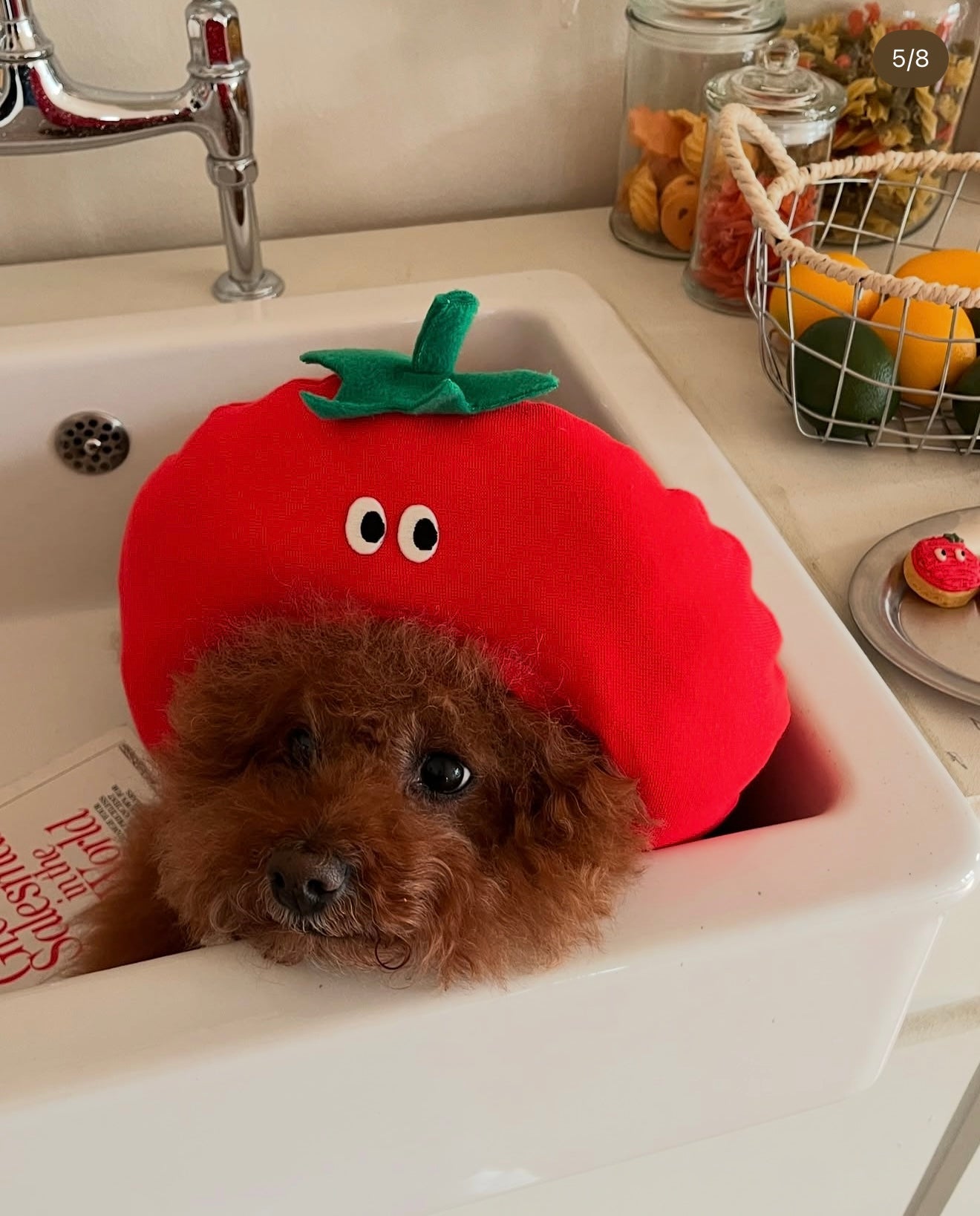 PICNIC SERIES HAT - TOMATO