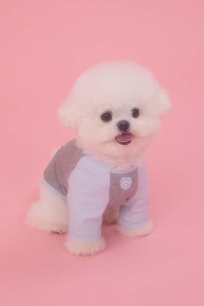 PEBBLES x MABLING BELL RAGLAN TEE