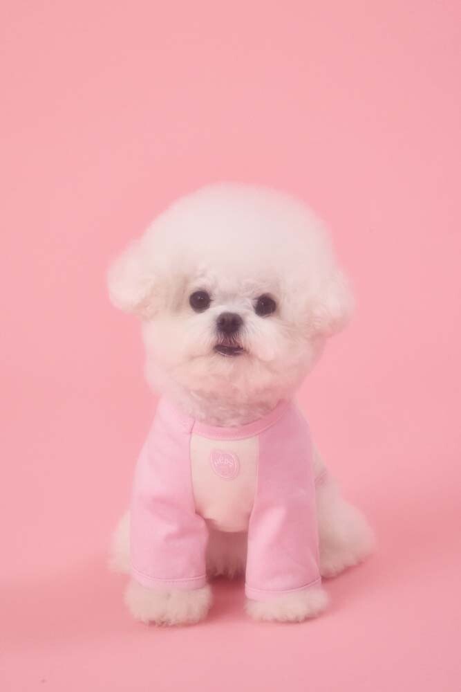 PEBBLES x MABLING MIU RAGLAN TEE