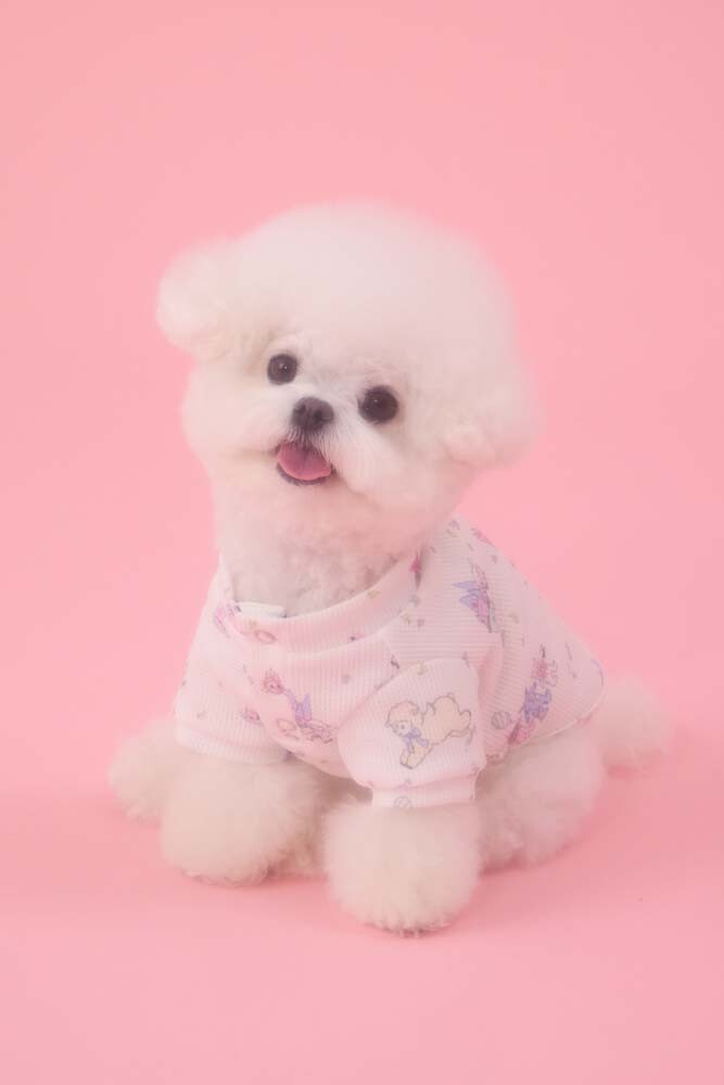 PEBBLES x MABLING MIU RAGLAN TEE