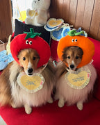 PICNIC SERIES HAT- ORANGE