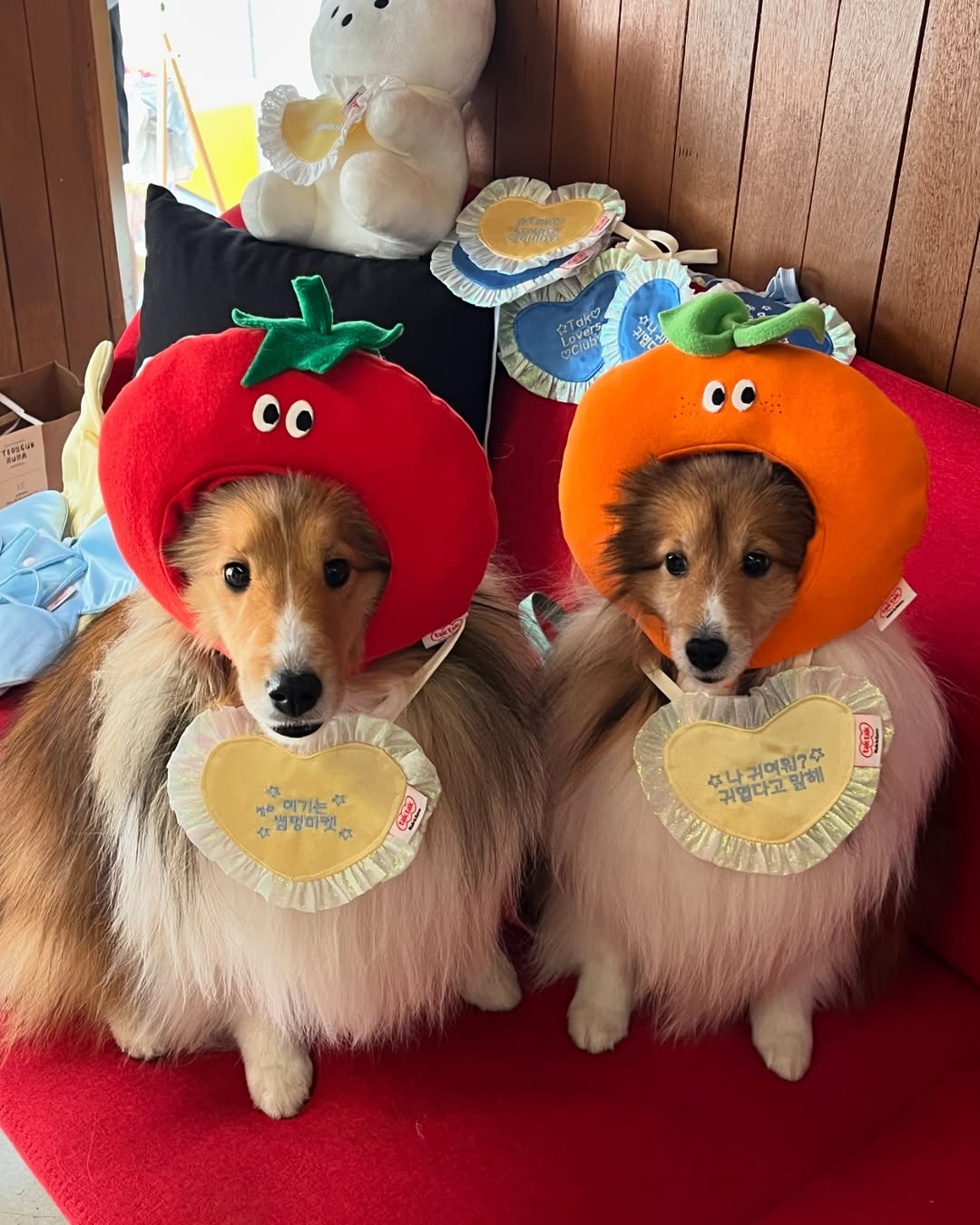 PICNIC SERIES HAT- ORANGE